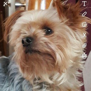 Meet your Posher, Jackie